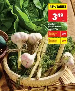 Biedronka Zestaw do kiszenia ogórków oferta