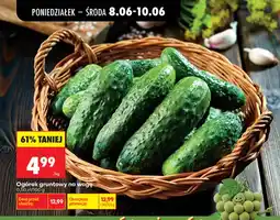 Biedronka Ogórek gruntowy na wagę oferta