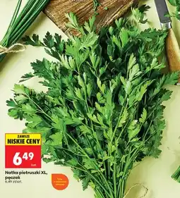 Biedronka Natka pietruszki XL pęczek oferta