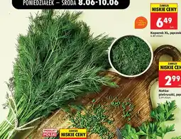 Biedronka Koperek XL pęczek oferta