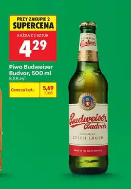 Biedronka Piwo Budweiser Budvar oferta