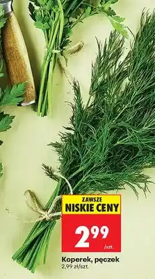 Biedronka Koperek pęczek oferta