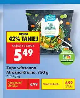 Biedronka Zupa wiosenna Mroźna Kraina oferta