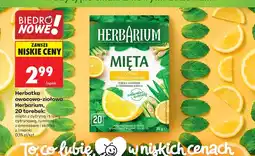 Biedronka Herbatka owocowo-ziołowa Herbarium mięta z cytryną i trawą cytrynową oferta