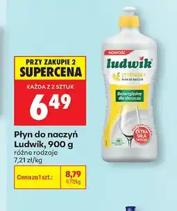 Biedronka Płyn do naczyń Ludwik oferta
