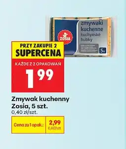 Biedronka Zmywak kuchenny Zosia oferta