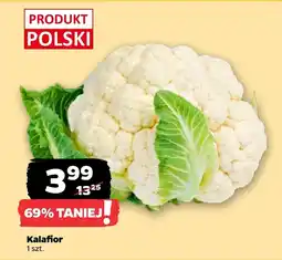 Netto Kalafior Polski oferta