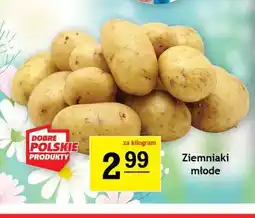 Gram Market Ziemniaki młode oferta