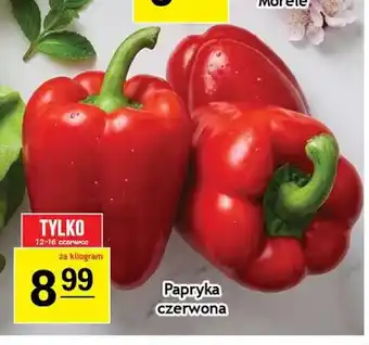 Gram Market Papryka czerwona oferta