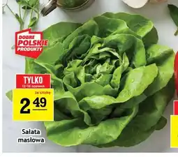 Gram Market Sałata masłowa oferta