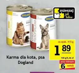 Gram Market Karma dla kota Dogland oferta
