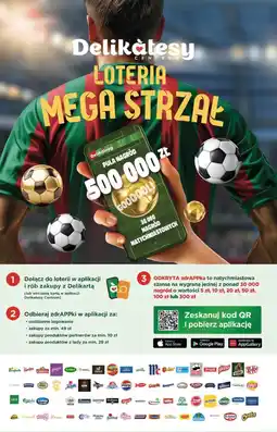 Delikatesy Centrum Loteria Mega Strzał - informacja oferta