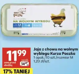 Delikatesy Centrum Jaja z chowu na wolnym wybiegu Kurza Paczka oferta