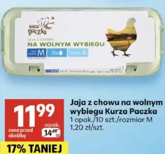 Delikatesy Centrum Jaja z chowu na wolnym wybiegu Kurza Paczka oferta