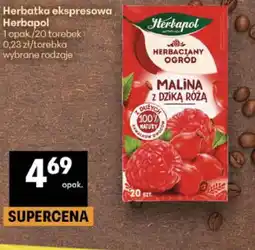 Delikatesy Centrum Herbatka ekspresowa Herbapol oferta