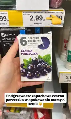Dino Podgrzewacze zapachowe Admit czarna porzeczka oferta
