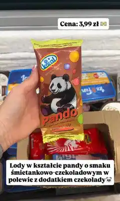 Dino Lody Koral Pando o smaku śmietankowo-czekoladowym oferta
