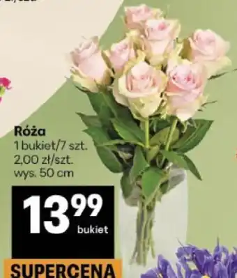 Delikatesy Centrum Róża oferta