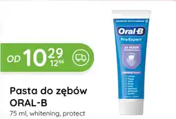 Eurocash Cash & Carry Pasta do zębów Oral-B oferta