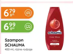 Eurocash Cash & Carry Szampon Schauma oferta