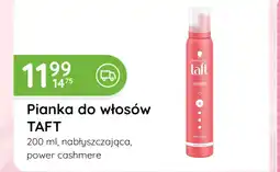 Eurocash Cash & Carry Pianka do włosów oferta