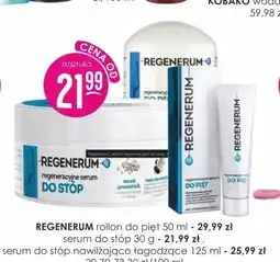 Jaśmin Regenerum rollon do pięt oferta