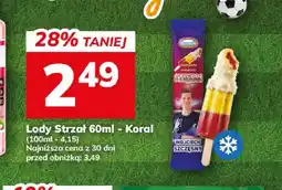 Hitpol Lody Strzał Koral oferta