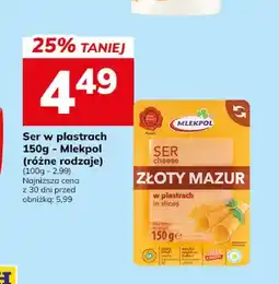 Hitpol Ser w plastrach Złoty Mazur Mlekpol oferta