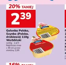 Hitpol Golonka Polska Werbliński oferta