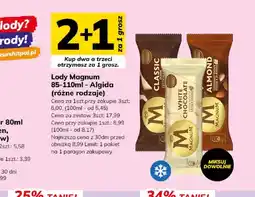 Hitpol Lody Magnum Classic oferta