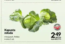 Makro Kapusta młoda polska oferta