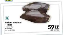 Makro Halibut niebieski tusza oferta