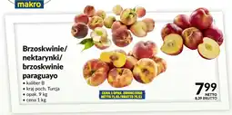 Makro Brzoskwinie Turcja oferta
