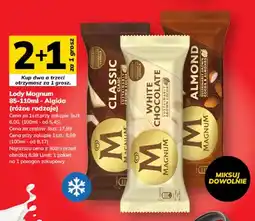Hitpol Lody Magnum Classic Algida oferta