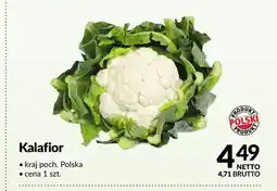 Makro Kalafior polski oferta