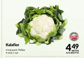 Makro Kalafior polski oferta