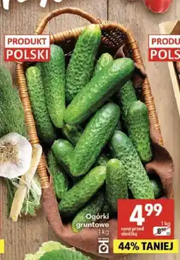 Delikatesy Centrum Ogórki gruntowe polskie oferta