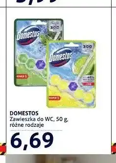 Blue Stop Zawieszka do WC Domestos oferta