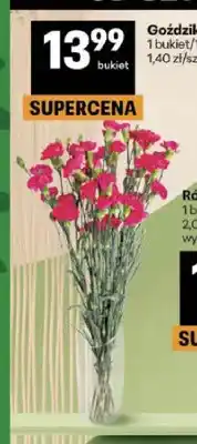 Delikatesy Centrum Goździk cięty 10-pak oferta