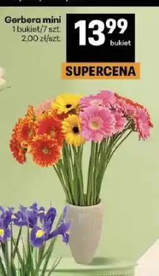 Delikatesy Centrum Gerbera mini 7-pak oferta