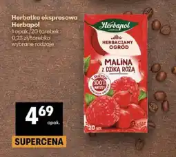 Delikatesy Centrum Herbatka ekspresowa Herbapol Herbaciany Ogród Malina z dziką różą oferta