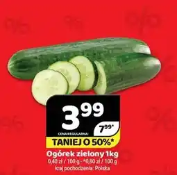 Delfin Ogórek zielony polski oferta