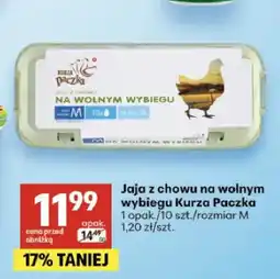 Delikatesy Centrum Jaja z chowu na wolnym wybiegu Kurza Paczka rozmiar M oferta