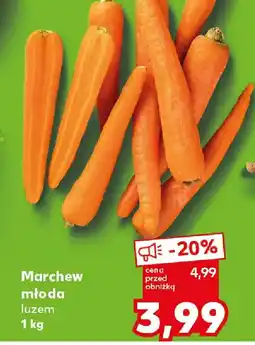 Kaufland Marchew młoda oferta