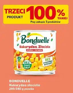 Kaufland Bonduelle Kukurydza złocista oferta