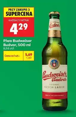 Biedronka Piwo Budweiser Budvar 500 ml oferta