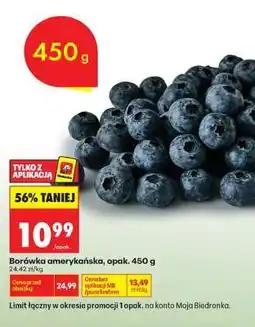 Biedronka Borówka amerykańska, opak. 450 g oferta