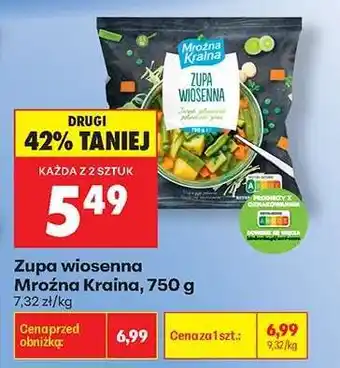 Biedronka Zupa wiosenna Mroźna Kraina, 750 g oferta