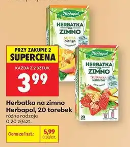 Biedronka Herbatka na zimno Herbapol, 20 torebek oferta
