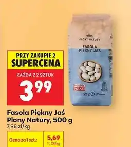 Biedronka Fasola Piękny Jas Plony Natury 500 g oferta